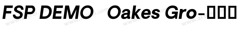 FSP DEMO   Oakes Gro字体转换